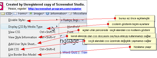 Measureıt, Webdeveloper Anlatım