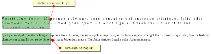 Outlines, Padding, Positioning, Table, Text, Pseudo-classes, Pseudo-elements
