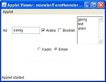 Java Applet &uuml;zerine Form Nesnelerini Eklemek
