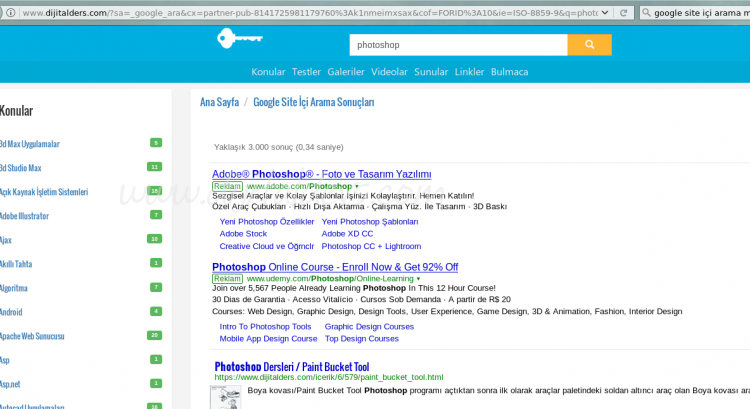 Google Site İçi Arama Motoru